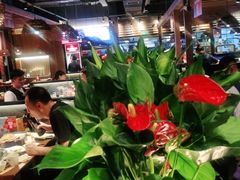 -管氏翅吧(台湾街店)
