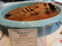 -阿五黄河大鲤鱼(英协路店)