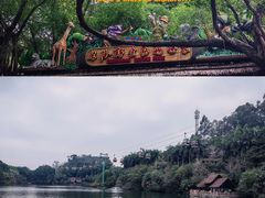 -广州长隆野生动物世界