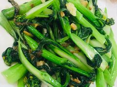 生炒菜心远-津津菜馆(绝没分店)