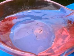 -雅鲁激流探险漂流