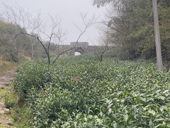 -仙霞关景区
