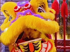 -粤凤佬