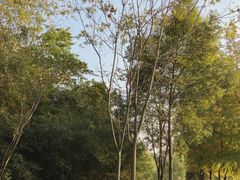 -T80科技文化国际社区-停车场