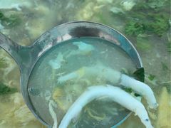 -西湖船菜(湖滨·碧水山庄店)