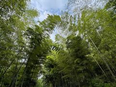 -紫金山索道-售票处