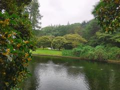 -上海西郊公寓酒店-地下停车场