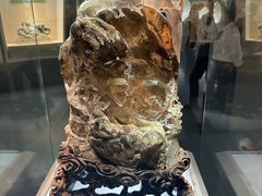 -安徽省地质博物馆