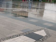 -厦门园林博览苑