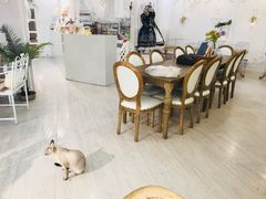 大堂-共舞时光猫咖·狗咖(新街口店)