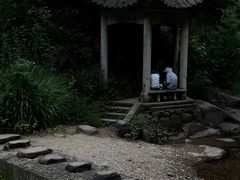 -大奇山国家森林公园