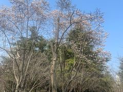 -白塘生态植物园