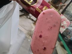 -弘烨 贵州酸汤 鱼火锅(东财店)