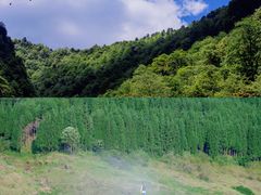 -瓦屋山景区