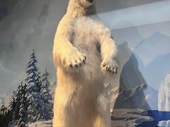 -陕西自然博物馆