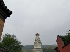 -五台山风景名胜区-罗睺寺