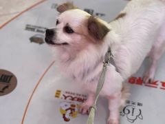 -米村拌饭(杭州国大城市广场店)