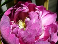 -三利音·浦之舟(滨江大道店)