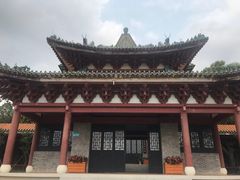 -顺峰山公园