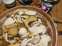 -紫滇源云南生态菜(丹凤街店)