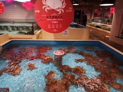 -日进一片海.生腌海鲜火锅.宵夜烧烤(三里屯总店)