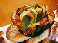 -番食园鲜食火锅(高新店)