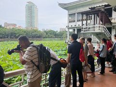-荔湾湖公园