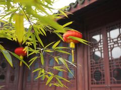 -丝绸小镇荻港古村