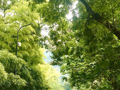 -杭州西湖风景名胜区-三生石