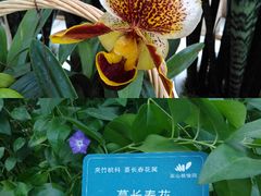 -南山植物园