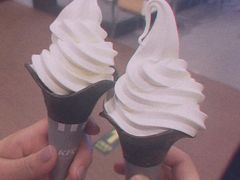 -祥源·阜阳生态乐园