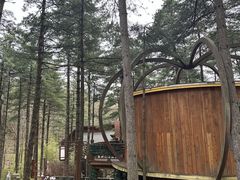 -洛阳白云山景区