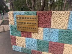 -黑龙江省森林植物园