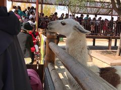 -鄂尔多斯野生动物园