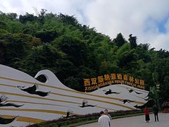 -西双版纳原始森林公园