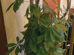 -鼎族怡华·指压·油压·经络(西单昌盛大厦店)