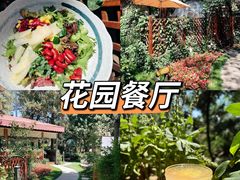 -莫多多餐厅
