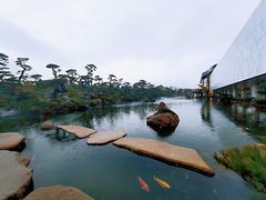 -罗红摄影艺术馆