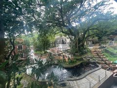 -宝莲禅寺