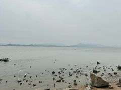 -深圳湾公园(南山区)
