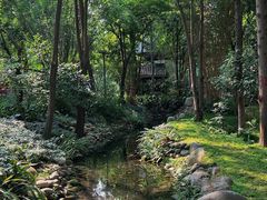 -成都市活水公园