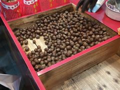 -阿男野栗王(金门路店)