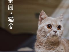 -猫宠乐园·专业洗护