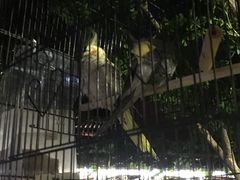 -晋江五店市传统文化旅游区