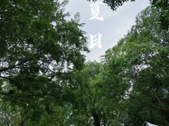 -秀丽东方