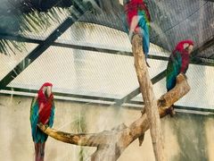 -大连森林动物园