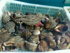 android_upload_pic-海滨假日渔家海鲜