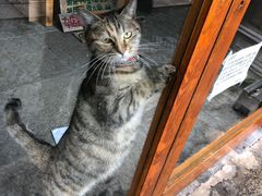 -猫的天空之城概念书店(苏州平江店)