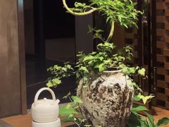 -若蘭慈·无国界素食料理(欢乐海岸店)
