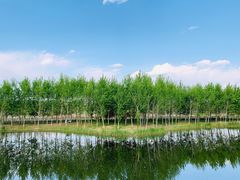 -东郊湿地公园